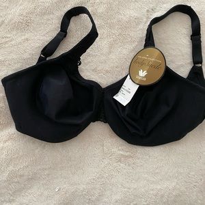 WACOAL black body suede bra 32DD